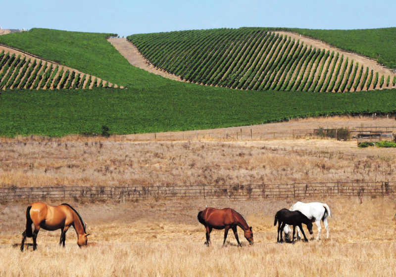 agricoltura sostenibile