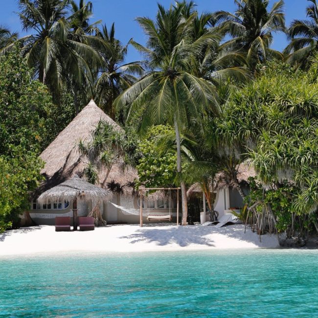 maldive