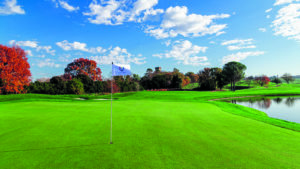 Ryder Cup