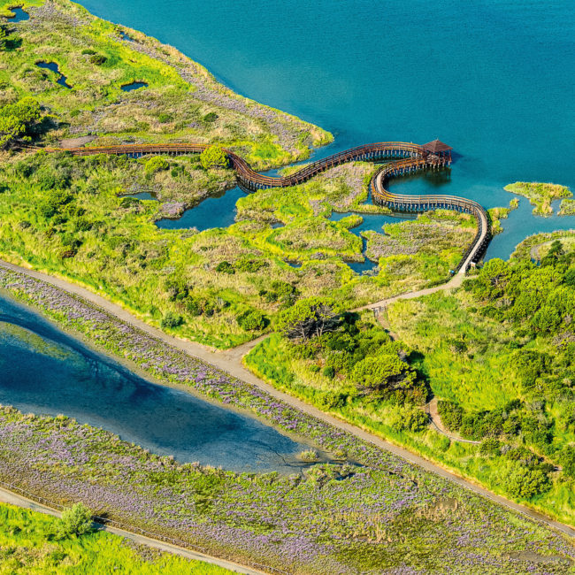 Delta del Po