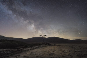 noctourism